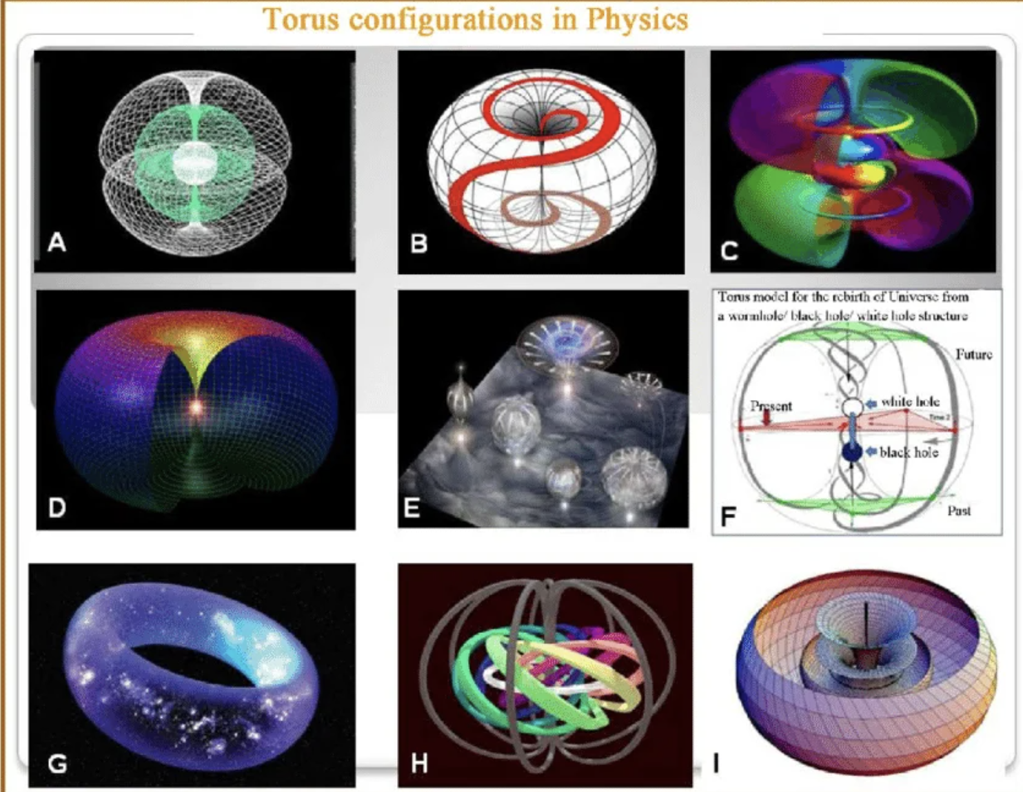 torus configurations in physics